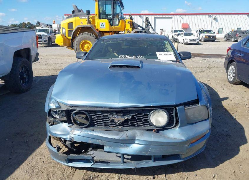 Photo 12 of 2008 Ford Mustang GT DELUXE/GT PREMIUM (VIN 1ZVHT82HX85143982)