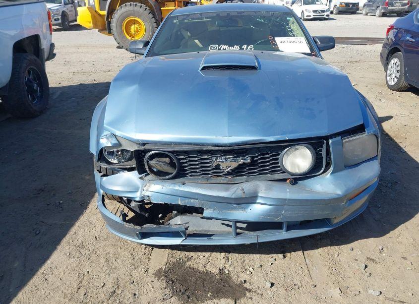 Photo 6 of 2008 Ford Mustang GT DELUXE/GT PREMIUM (VIN 1ZVHT82HX85143982)