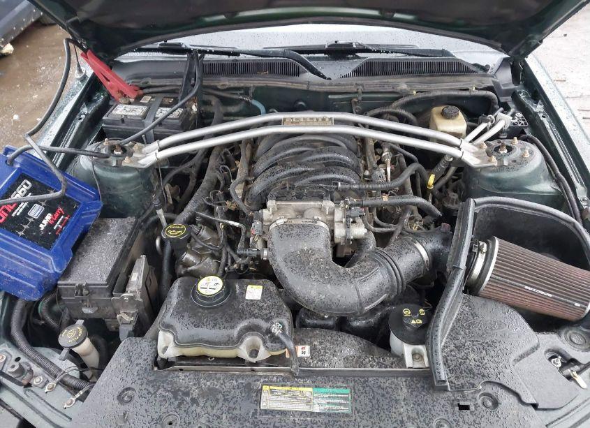 Photo 10 of 2008 Ford Mustang GT DELUXE/GT PREMIUM (VIN 1ZVHT82HX85192275)