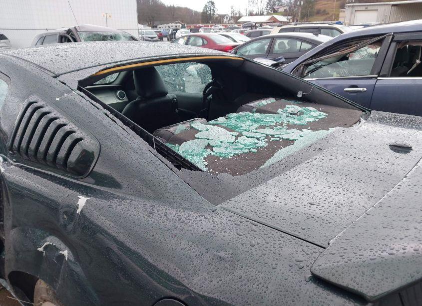 Photo 18 of 2008 Ford Mustang GT DELUXE/GT PREMIUM (VIN 1ZVHT82HX85192275)