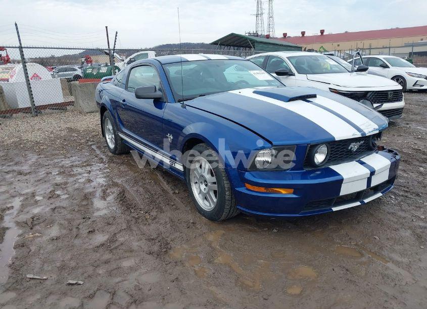2009 Ford Mustang GT/GT PREMIUM (VIN 1ZVHT82HX95119781) main photo