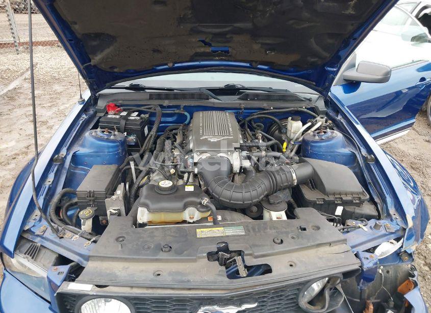 Photo 10 of 2009 Ford Mustang GT/GT PREMIUM (VIN 1ZVHT82HX95119781)