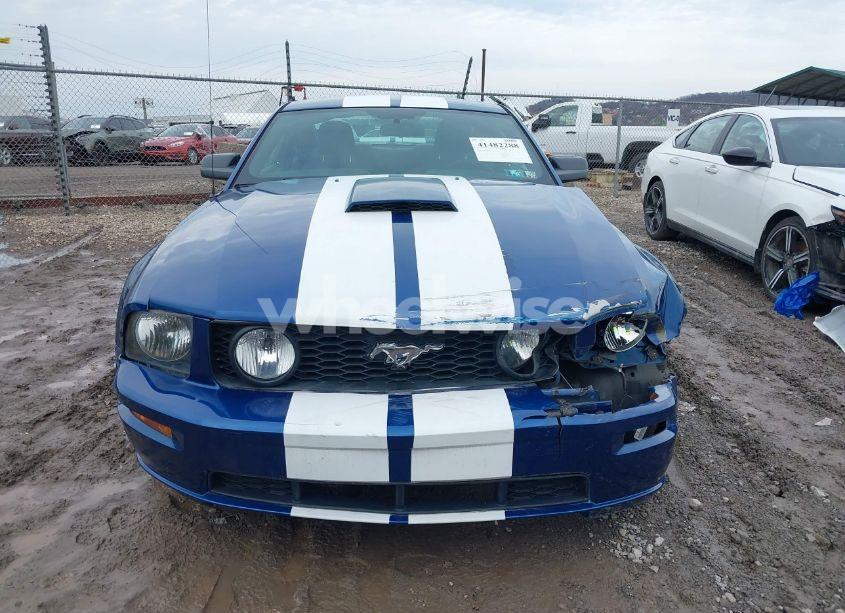 Photo 12 of 2009 Ford Mustang GT/GT PREMIUM (VIN 1ZVHT82HX95119781)