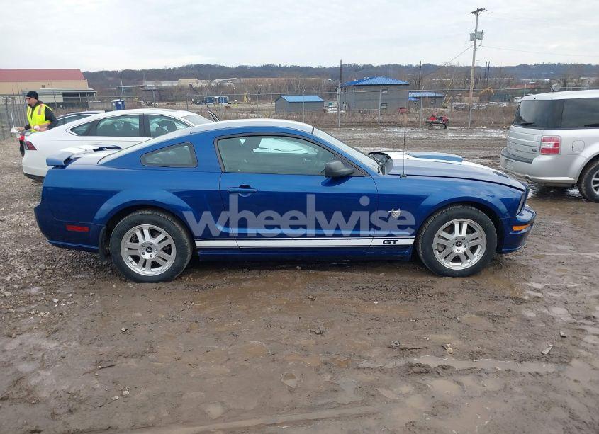 Photo 13 of 2009 Ford Mustang GT/GT PREMIUM (VIN 1ZVHT82HX95119781)