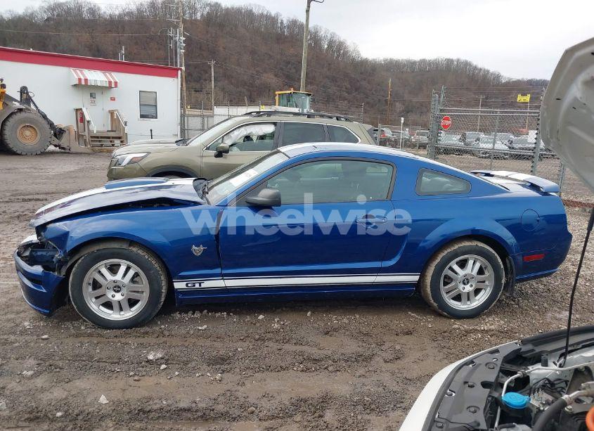 Photo 14 of 2009 Ford Mustang GT/GT PREMIUM (VIN 1ZVHT82HX95119781)