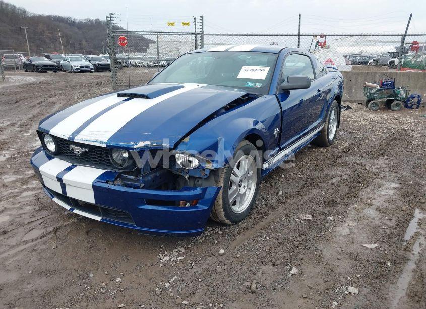 Photo 2 of 2009 Ford Mustang GT/GT PREMIUM (VIN 1ZVHT82HX95119781)