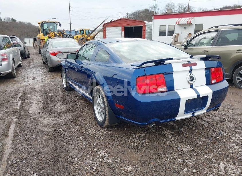 Photo 3 of 2009 Ford Mustang GT/GT PREMIUM (VIN 1ZVHT82HX95119781)
