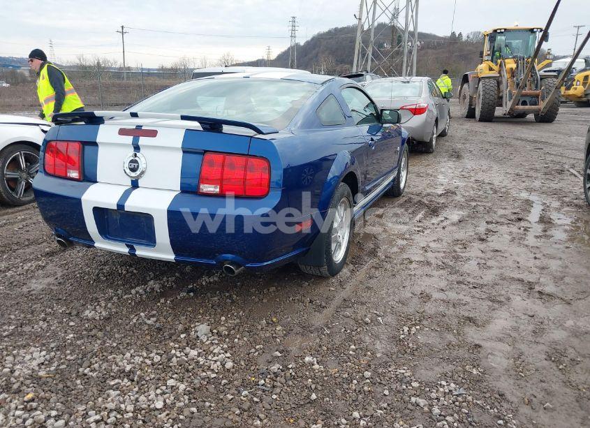 Photo 4 of 2009 Ford Mustang GT/GT PREMIUM (VIN 1ZVHT82HX95119781)