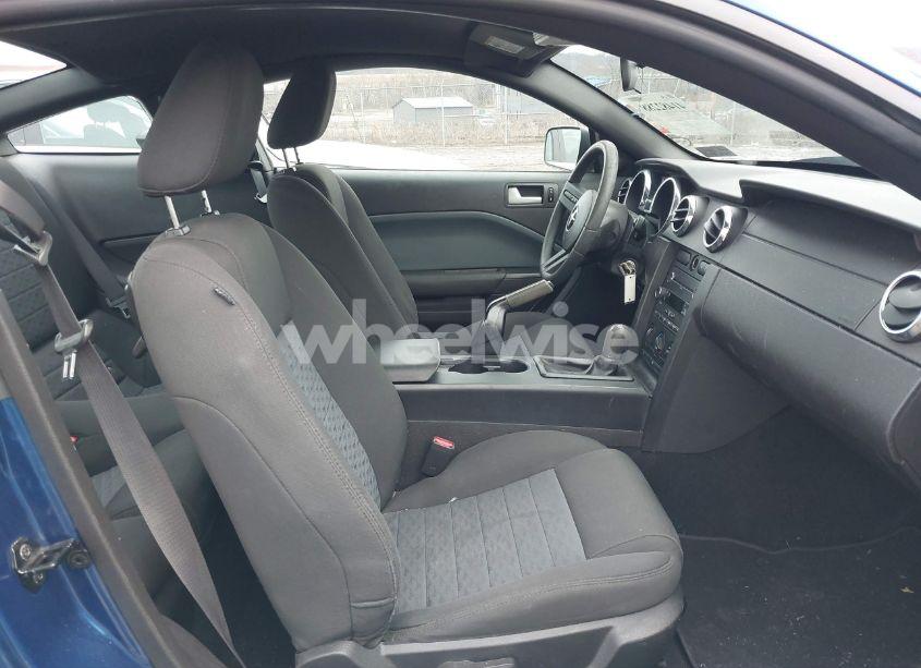 Photo 5 of 2009 Ford Mustang GT/GT PREMIUM (VIN 1ZVHT82HX95119781)