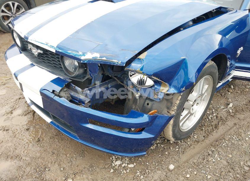 Photo 6 of 2009 Ford Mustang GT/GT PREMIUM (VIN 1ZVHT82HX95119781)