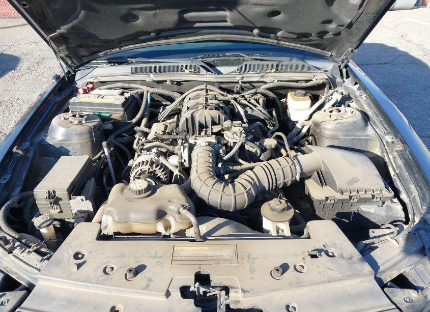 Photo 10 of 2007 Ford Mustang V6 DELUXE/V6 PREMIUM (VIN 1ZVHT84N075325269)