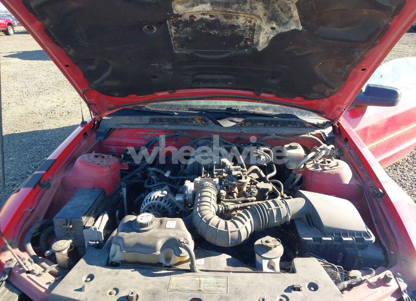 Photo 10 of 2008 Ford Mustang V6 DELUXE/V6 PREMIUM (VIN 1ZVHT84N185169437)