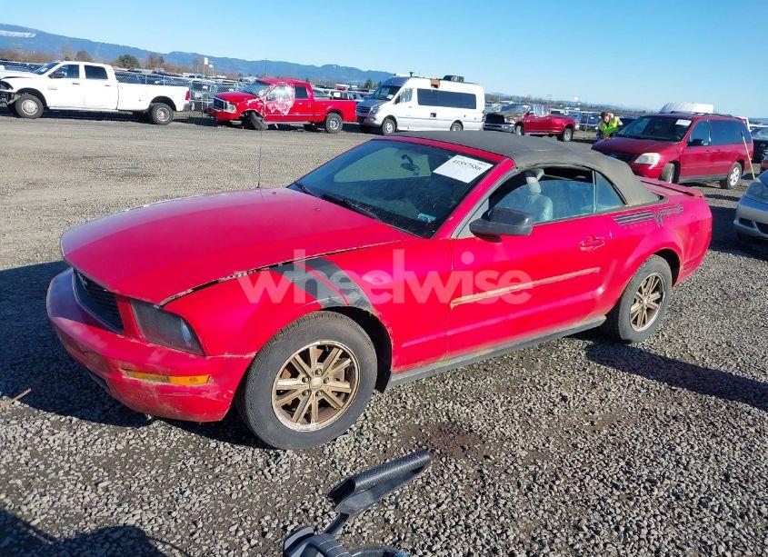 Photo 2 of 2008 Ford Mustang V6 DELUXE/V6 PREMIUM (VIN 1ZVHT84N185169437)