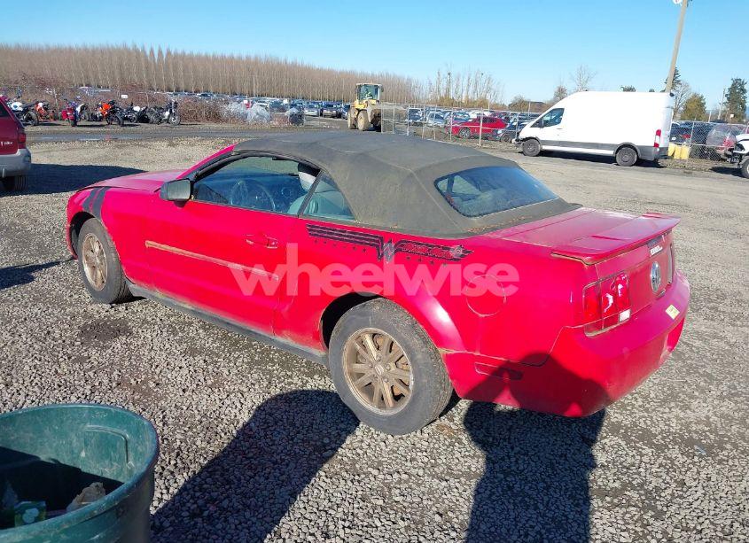 Photo 3 of 2008 Ford Mustang V6 DELUXE/V6 PREMIUM (VIN 1ZVHT84N185169437)