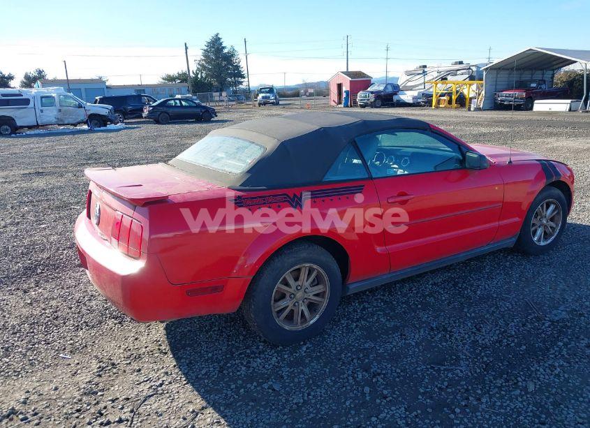 Photo 4 of 2008 Ford Mustang V6 DELUXE/V6 PREMIUM (VIN 1ZVHT84N185169437)