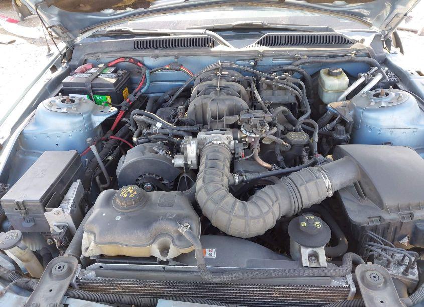 Photo 10 of 2005 Ford Mustang (VIN 1ZVHT84N255178756)