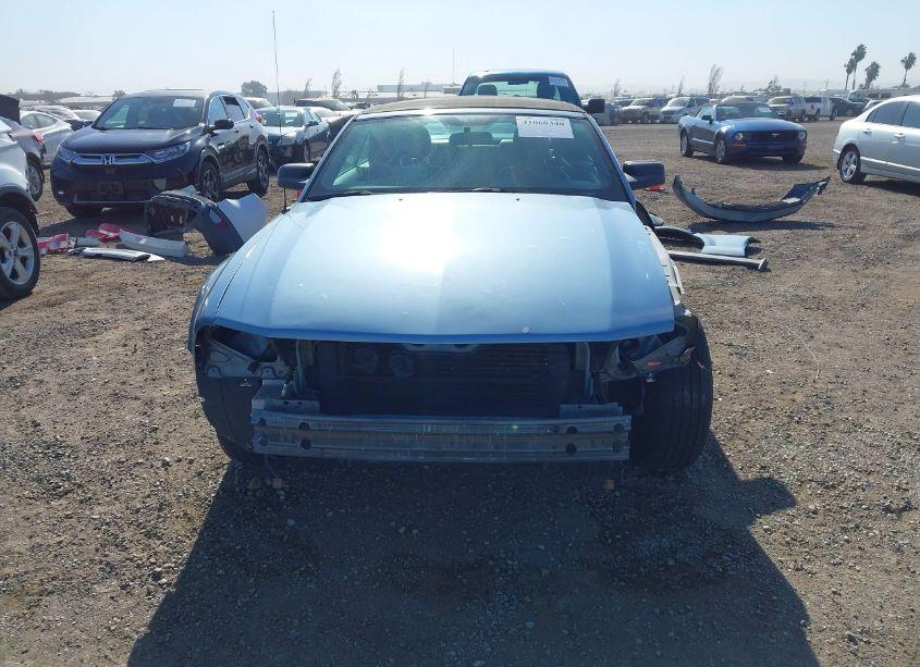 Photo 13 of 2005 Ford Mustang (VIN 1ZVHT84N255178756)