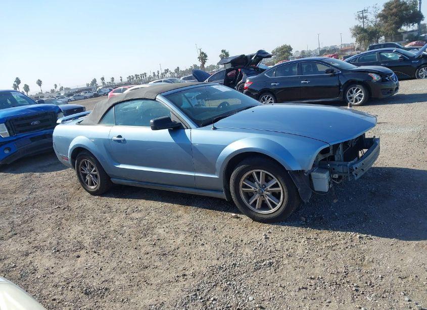 Photo 14 of 2005 Ford Mustang (VIN 1ZVHT84N255178756)