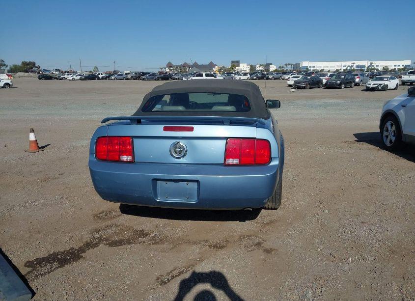 Photo 17 of 2005 Ford Mustang (VIN 1ZVHT84N255178756)
