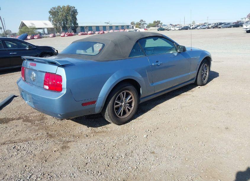 Photo 4 of 2005 Ford Mustang (VIN 1ZVHT84N255178756)