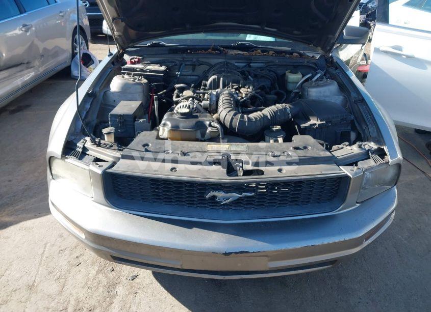 Photo 10 of 2008 Ford Mustang V6 DELUXE/V6 PREMIUM (VIN 1ZVHT84N285204745)