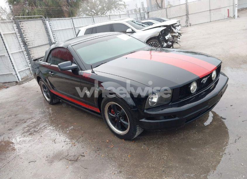 2009 Ford Mustang V6/V6 PREMIUM (VIN 1ZVHT84N295111905) main photo