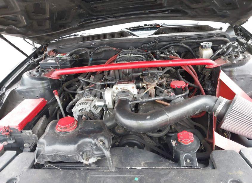 Photo 10 of 2009 Ford Mustang V6/V6 PREMIUM (VIN 1ZVHT84N295111905)