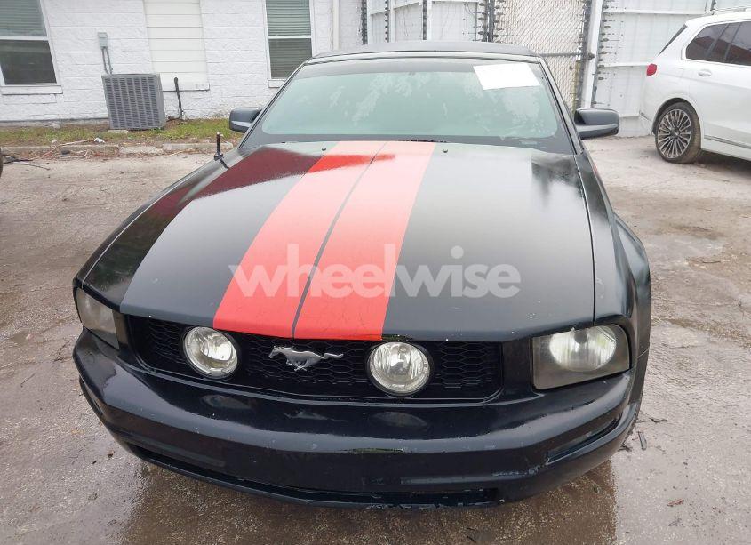 Photo 6 of 2009 Ford Mustang V6/V6 PREMIUM (VIN 1ZVHT84N295111905)