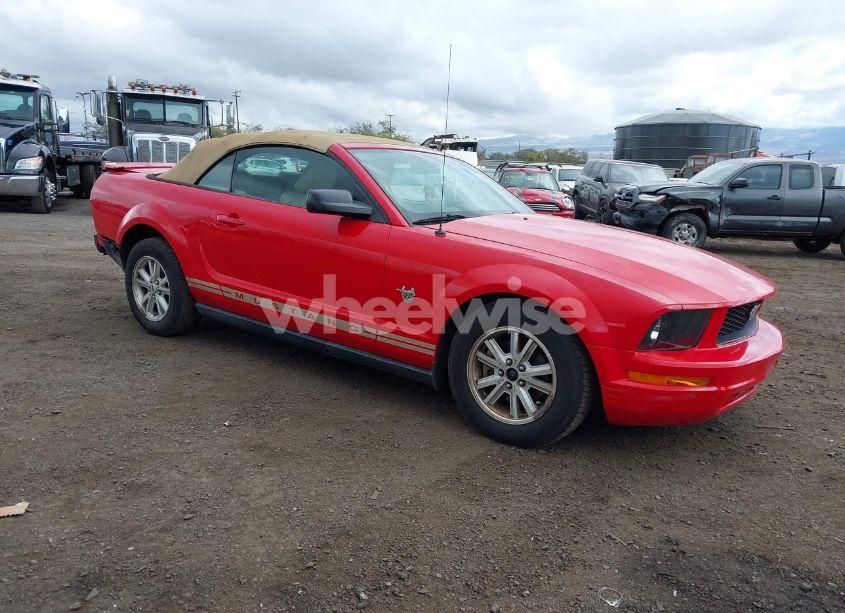 2009 Ford Mustang V6/V6 PREMIUM (VIN 1ZVHT84N295118580) main photo
