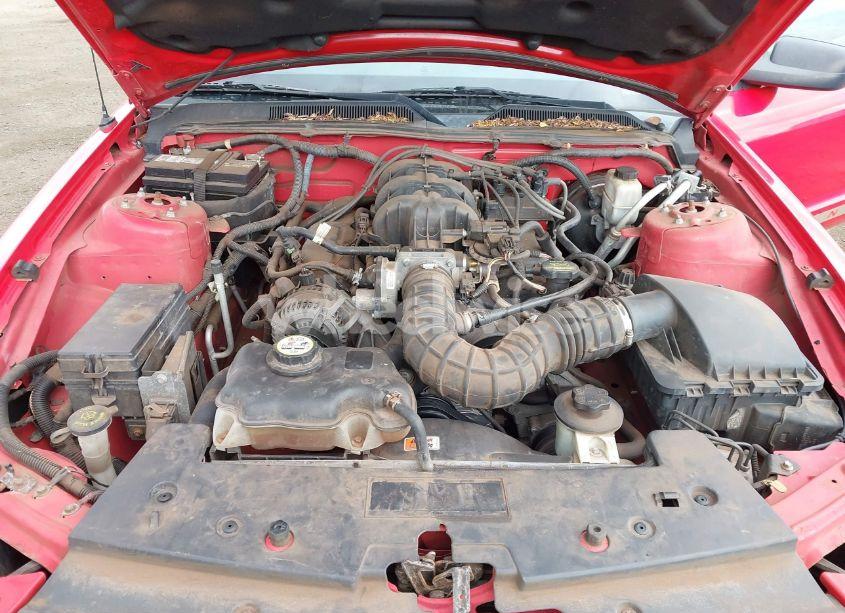 Photo 10 of 2009 Ford Mustang V6/V6 PREMIUM (VIN 1ZVHT84N295118580)