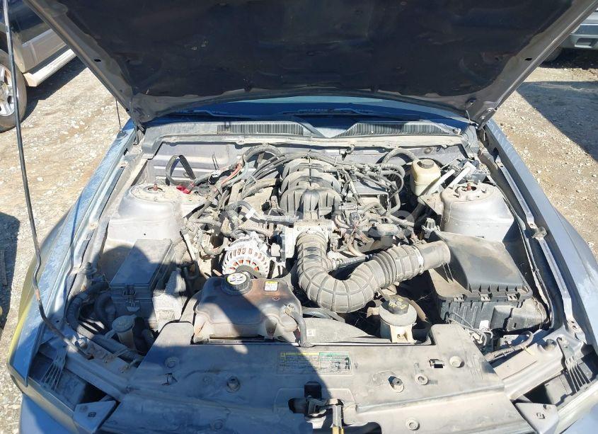 Photo 10 of 2006 Ford Mustang V6 (VIN 1ZVHT84N365107471)