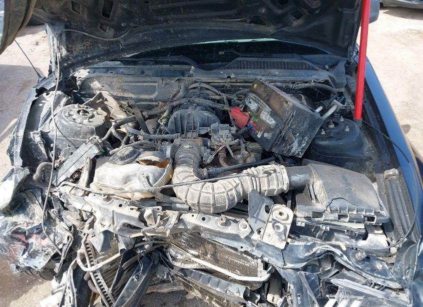 Photo 10 of 2008 Ford Mustang V6 DELUXE (VIN 1ZVHT84N385194033)