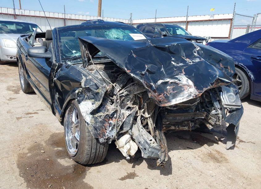 Photo 6 of 2008 Ford Mustang V6 DELUXE (VIN 1ZVHT84N385194033)