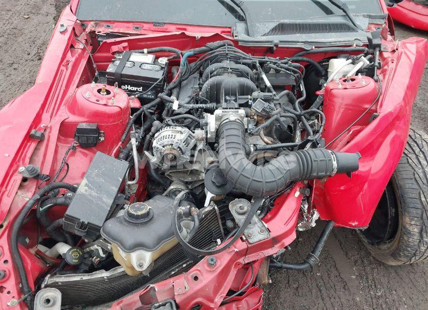 Photo 10 of 2009 Ford Mustang V6/V6 PREMIUM (VIN 1ZVHT84N395102050)