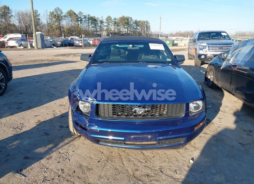 Photo 12 of 2007 Ford Mustang V6 DELUXE/V6 PREMIUM (VIN 1ZVHT84N575210523)