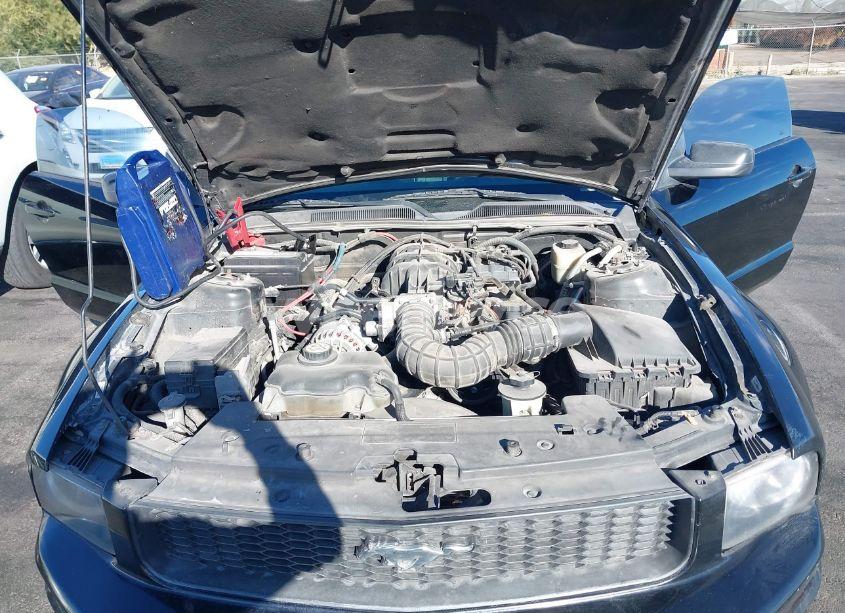 Photo 10 of 2007 Ford Mustang V6 DELUXE/V6 PREMIUM (VIN 1ZVHT84N575219156)