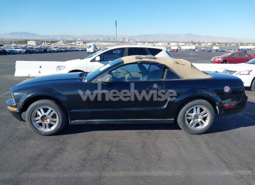 Photo 12 of 2007 Ford Mustang V6 DELUXE/V6 PREMIUM (VIN 1ZVHT84N575219156)