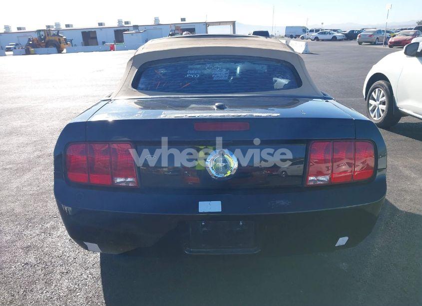 Photo 14 of 2007 Ford Mustang V6 DELUXE/V6 PREMIUM (VIN 1ZVHT84N575219156)