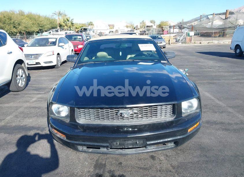 Photo 6 of 2007 Ford Mustang V6 DELUXE/V6 PREMIUM (VIN 1ZVHT84N575219156)