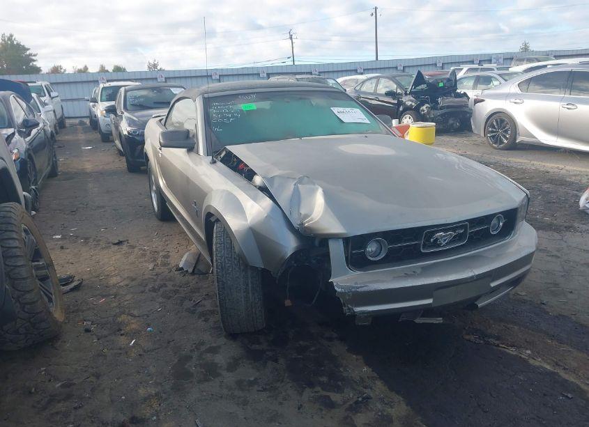 2008 Ford Mustang V6 DELUXE/V6 PREMIUM (VIN 1ZVHT84N585185172) main photo