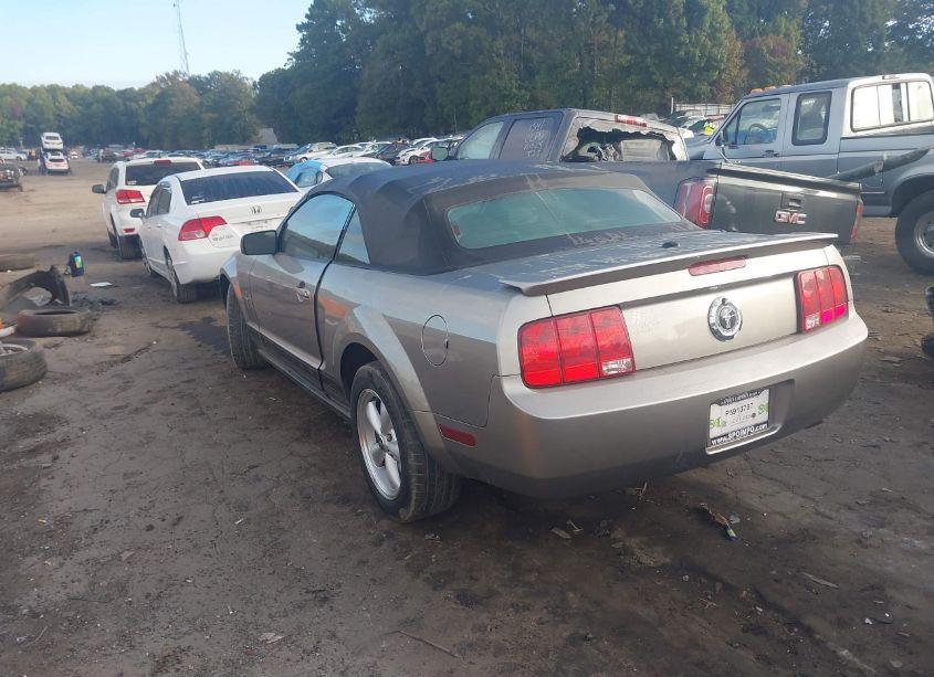Photo 3 of 2008 Ford Mustang V6 DELUXE/V6 PREMIUM (VIN 1ZVHT84N585185172)