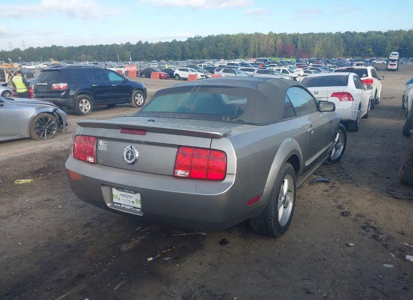 Photo 4 of 2008 Ford Mustang V6 DELUXE/V6 PREMIUM (VIN 1ZVHT84N585185172)