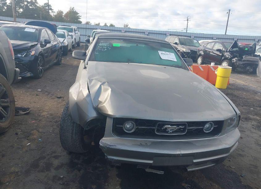 Photo 6 of 2008 Ford Mustang V6 DELUXE/V6 PREMIUM (VIN 1ZVHT84N585185172)