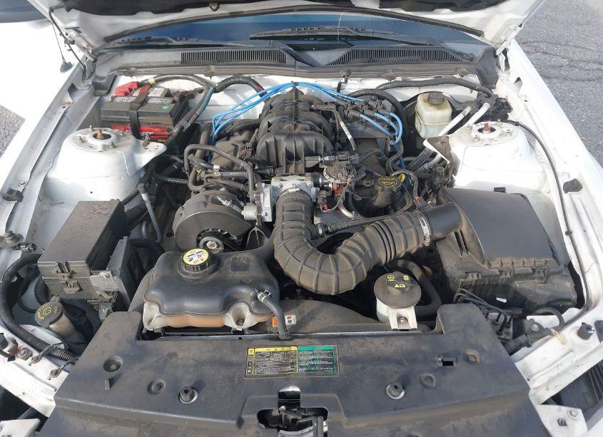 Photo 10 of 2005 Ford Mustang (VIN 1ZVHT84N655204405)