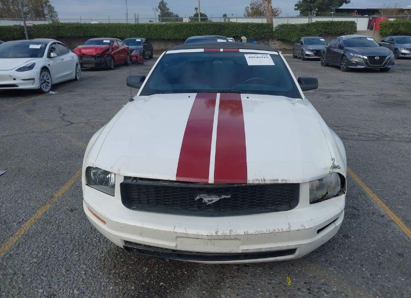Photo 12 of 2005 Ford Mustang (VIN 1ZVHT84N655204405)