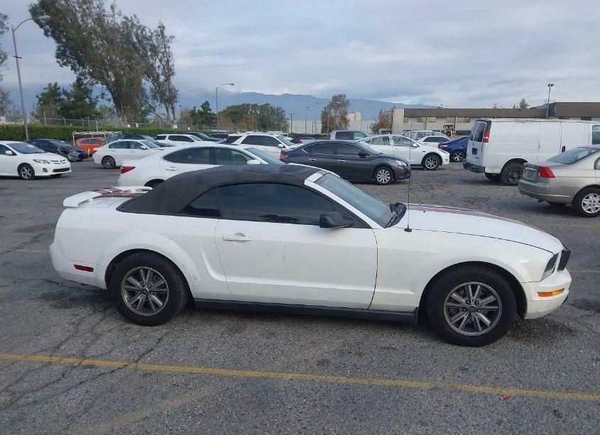 Photo 13 of 2005 Ford Mustang (VIN 1ZVHT84N655204405)