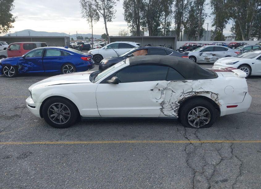 Photo 14 of 2005 Ford Mustang (VIN 1ZVHT84N655204405)