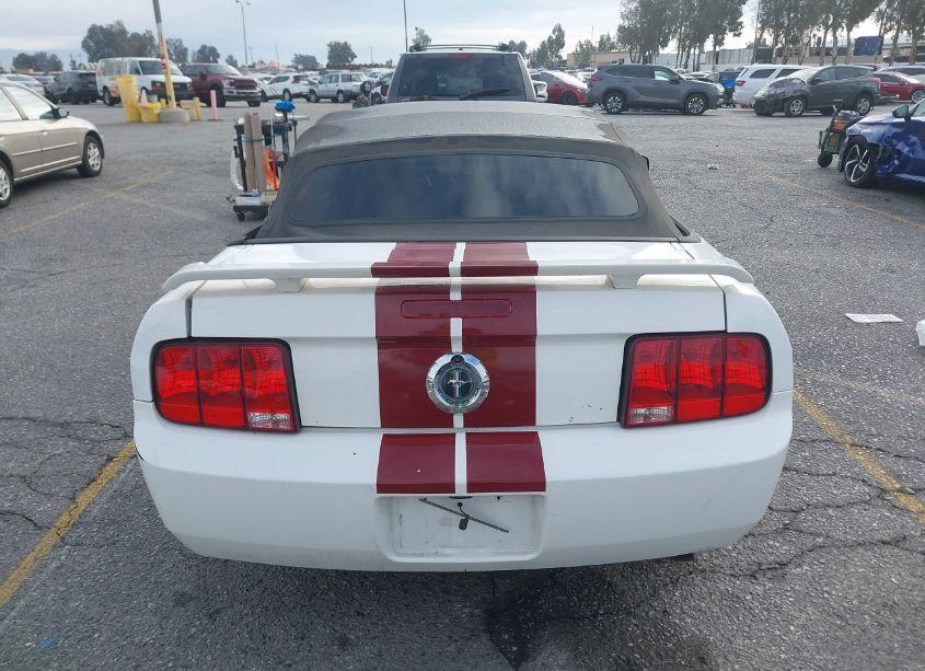 Photo 16 of 2005 Ford Mustang (VIN 1ZVHT84N655204405)