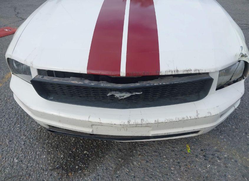 Photo 17 of 2005 Ford Mustang (VIN 1ZVHT84N655204405)