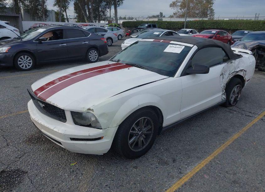 Photo 2 of 2005 Ford Mustang (VIN 1ZVHT84N655204405)
